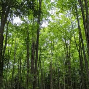 Meet your Posher, Jodie